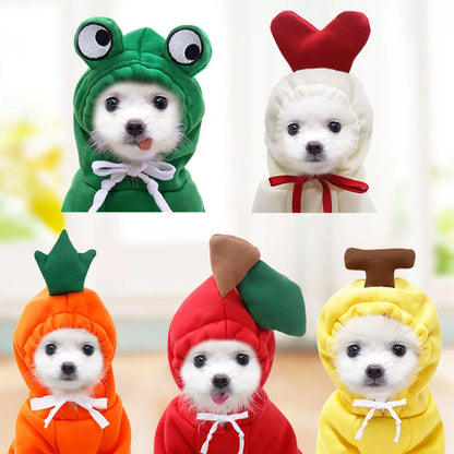 Dog Winter Clothes