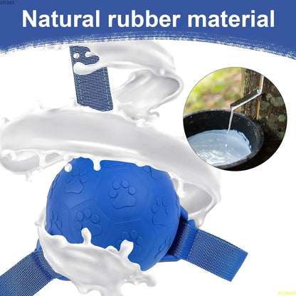 Dog Soccer Ball Toy: Interactive Rubber Water Toy