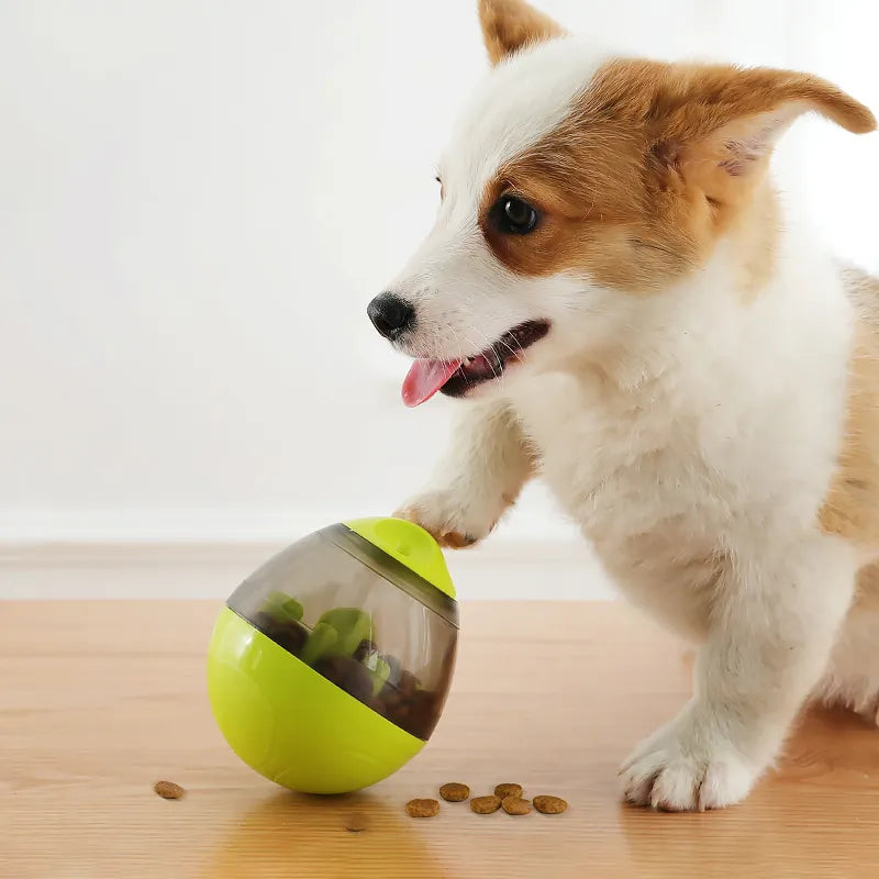 Pet Snack Dispenser Toy